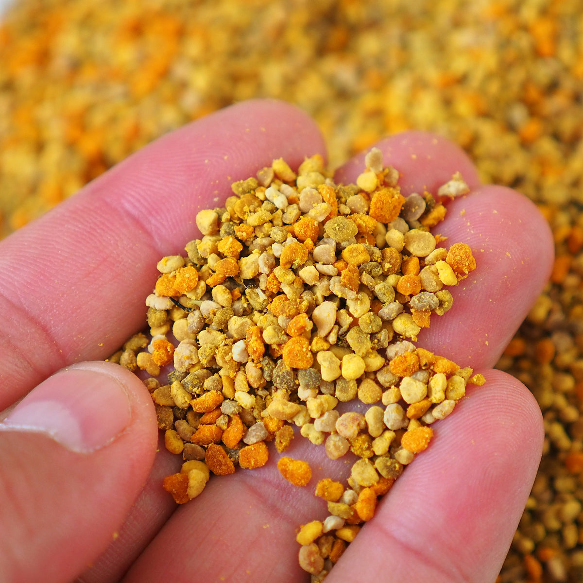 Mannavita sušený včelí peľ z viacerých kvetov • 500 g