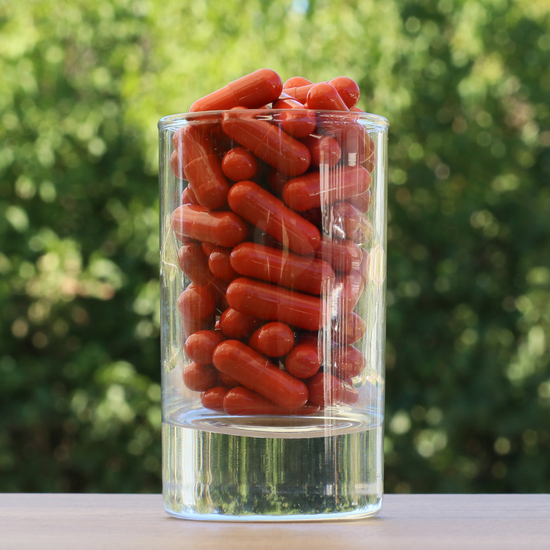 FEMNOX Materská kašička + Inozitol + Kyselina listová + Vitamínu B12, komplex • 90 kapsúl