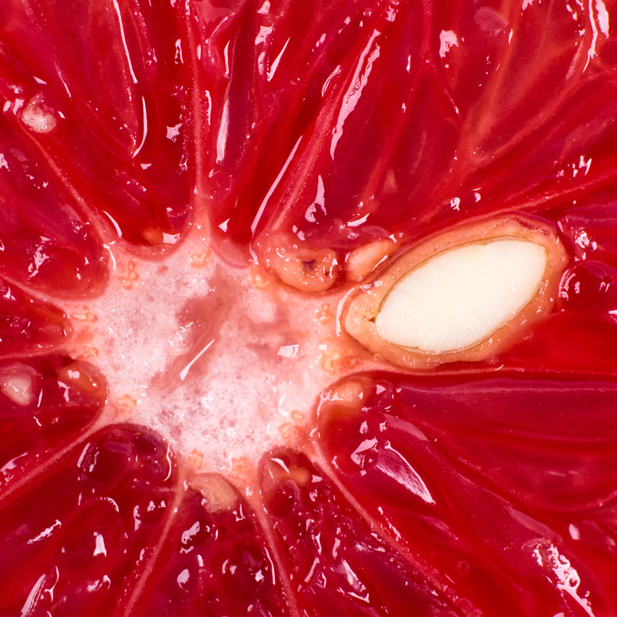 Mannavita kvapky z grapefruitových jadierok • 100 ml