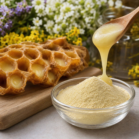 Exploring Health Advantages of Concentrated Royal Jelly Powder for Wellbeing
