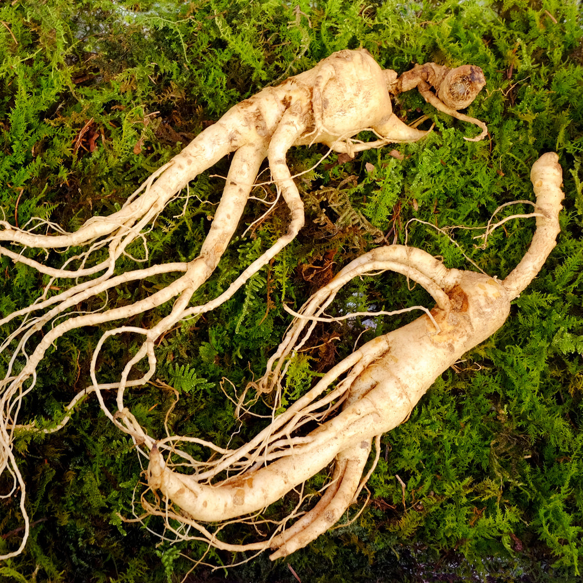 ENDOQIN manpower forte • 90 kapsúl