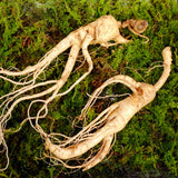 ENDOQIN manpower forte • 90 kapsúl