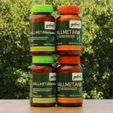 Gallmet Natural kapsuly so žlčovými kyselinami • 90 ks.