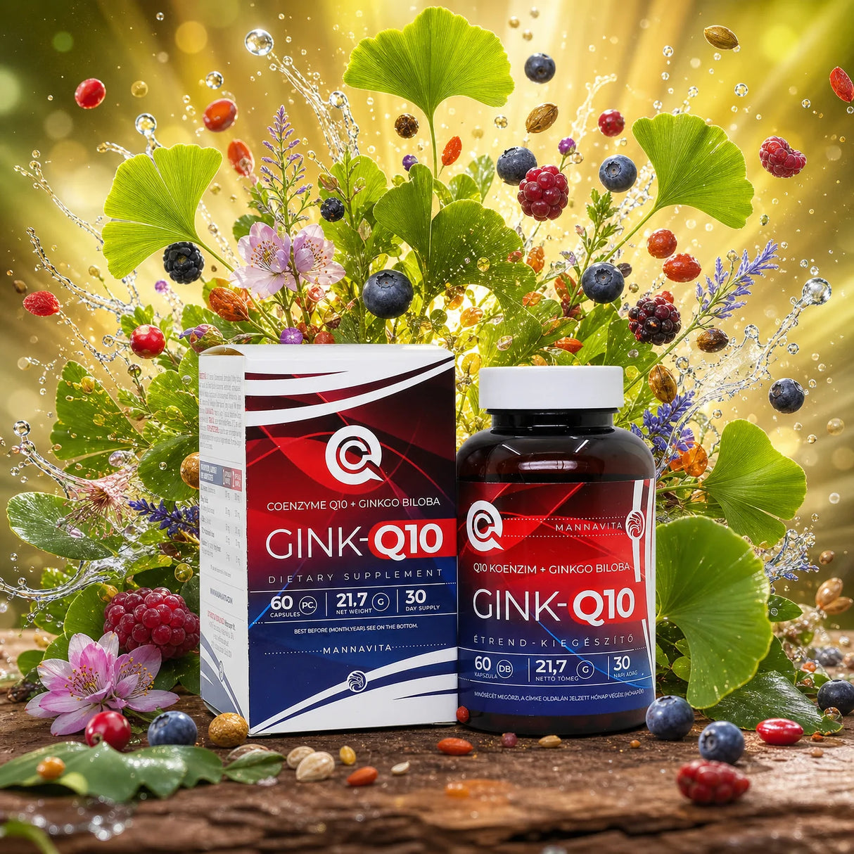 GINK-Q10 • komplex koenzýmu Q10 + Ginkgo biloba • 60 kapsúl