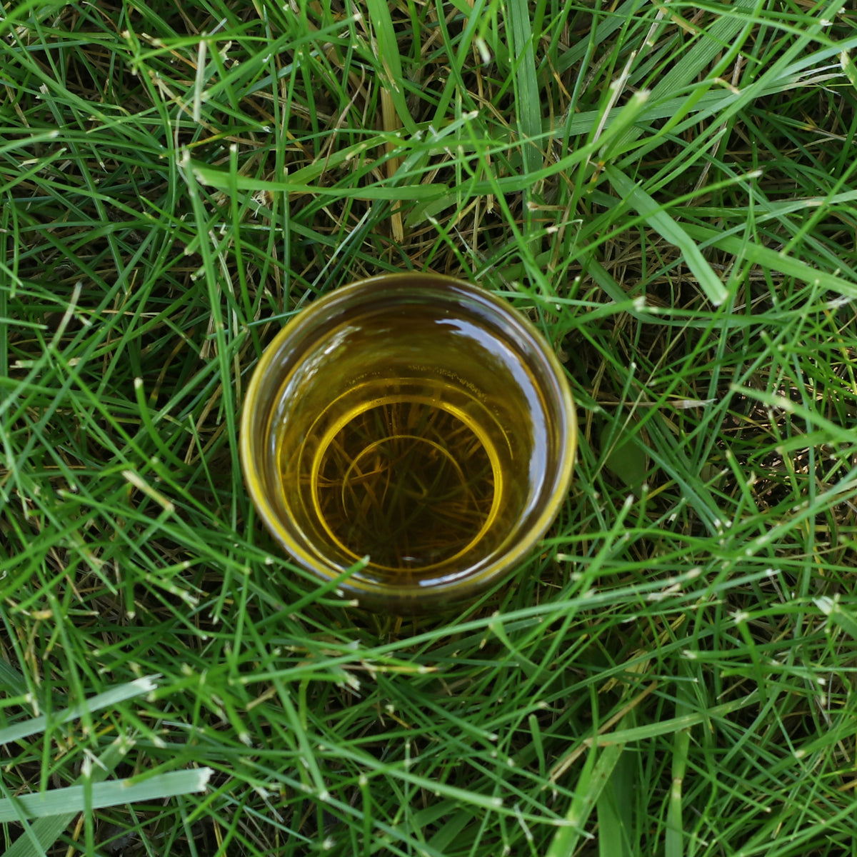 Mannavita maďarský za studena lisovaný olej z hroznových jadier • 250 ml