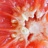 Mannavita kvapky z grapefruitových jadierok • 100 ml