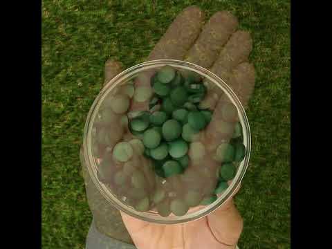 Mannavita Spirulina, tablety 500 mg • 180 ks.