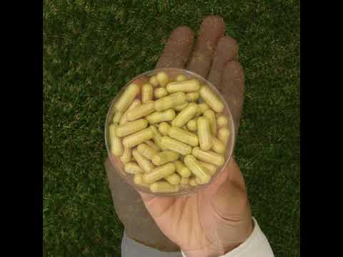 ENZIMA+ komplex tráviacich enzýmov s Betaín HCL • 90 kapsúl