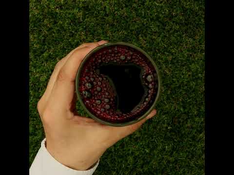 Mannavita Čučoriedka, 100% čistá lisovaná šťava • 500 ml