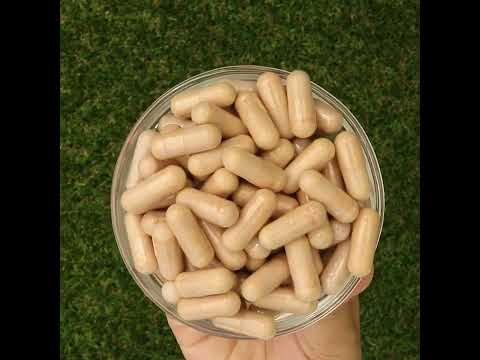 PrOcum • komplex na Posilnenie Zraku • 60 kapsúl