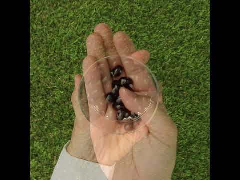 MegaKRILL 1500 mg krillový olej + rybí olej • 90 kapsúl