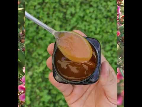 Melora Manuka med 525+ MGO™ UMF 15 • 250g