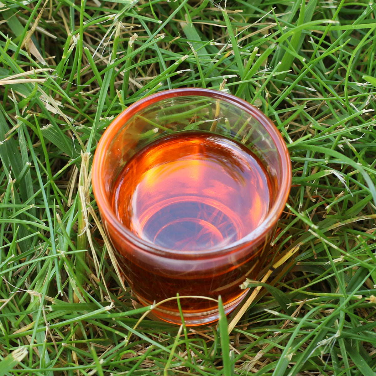 Mannavita maďarský za studena lisovaný olej zo semien rakytníka • 40 ml